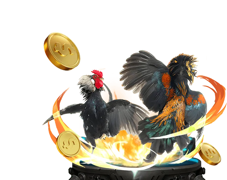 Hoàn Trả Hàng Ngày Cá Cược Thể Thao